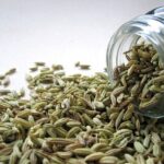 12 Health Benefits of Fennel Seeds