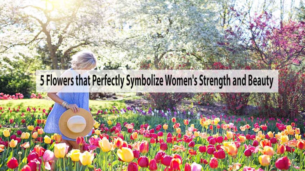 5 Flowers that Perfectly Symbolize Women's Strength and Beauty