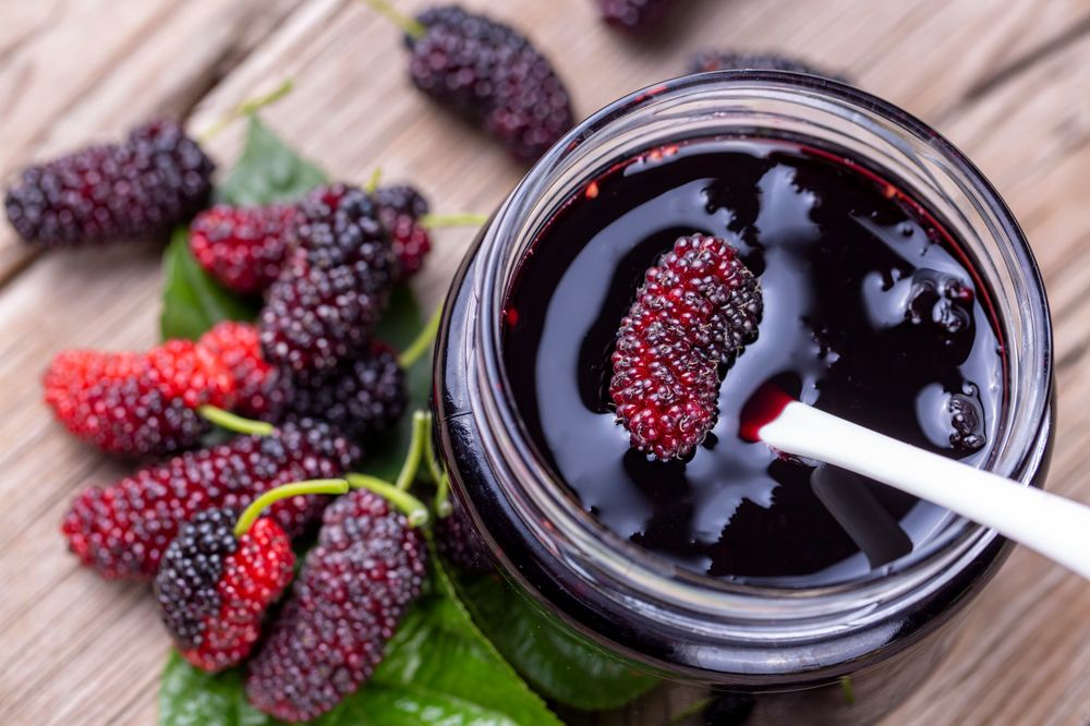 The Health Benefits Of Mulberries Are Numerous